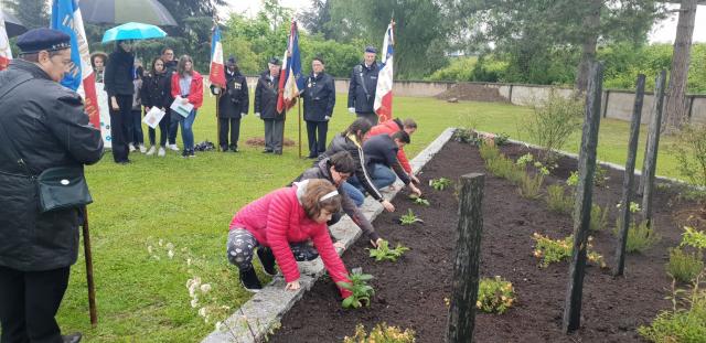 Fleurissement de la nécropole nationale de Strasbourg Cronenbourg.