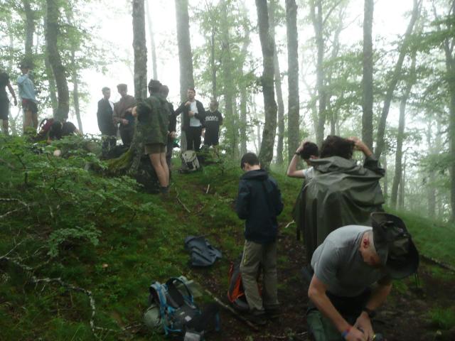 Campement en forêt