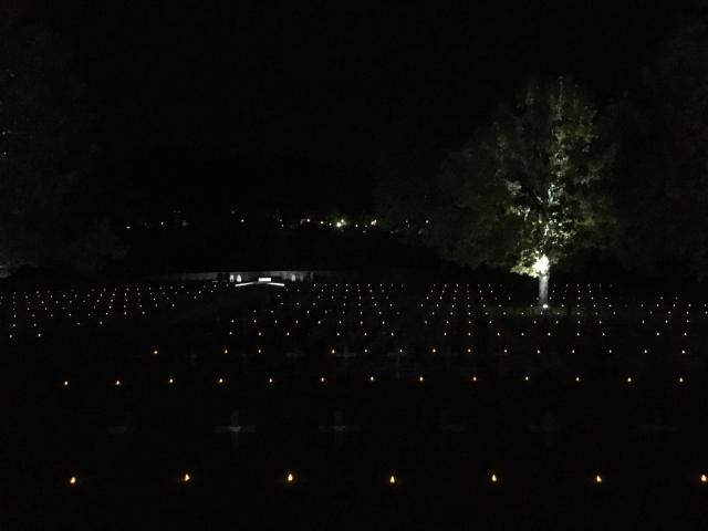 la nécropole mise en lumière