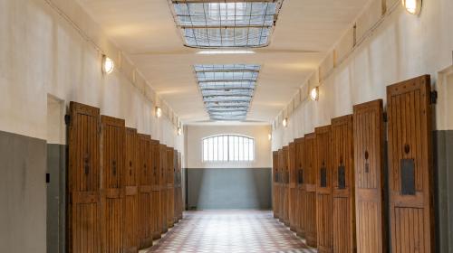 L'illumination aura lieu pendant toute la Fête des Lumières de Lyon