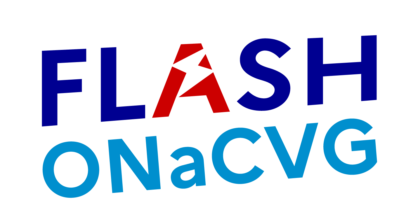 Logo Flash ONaCVG