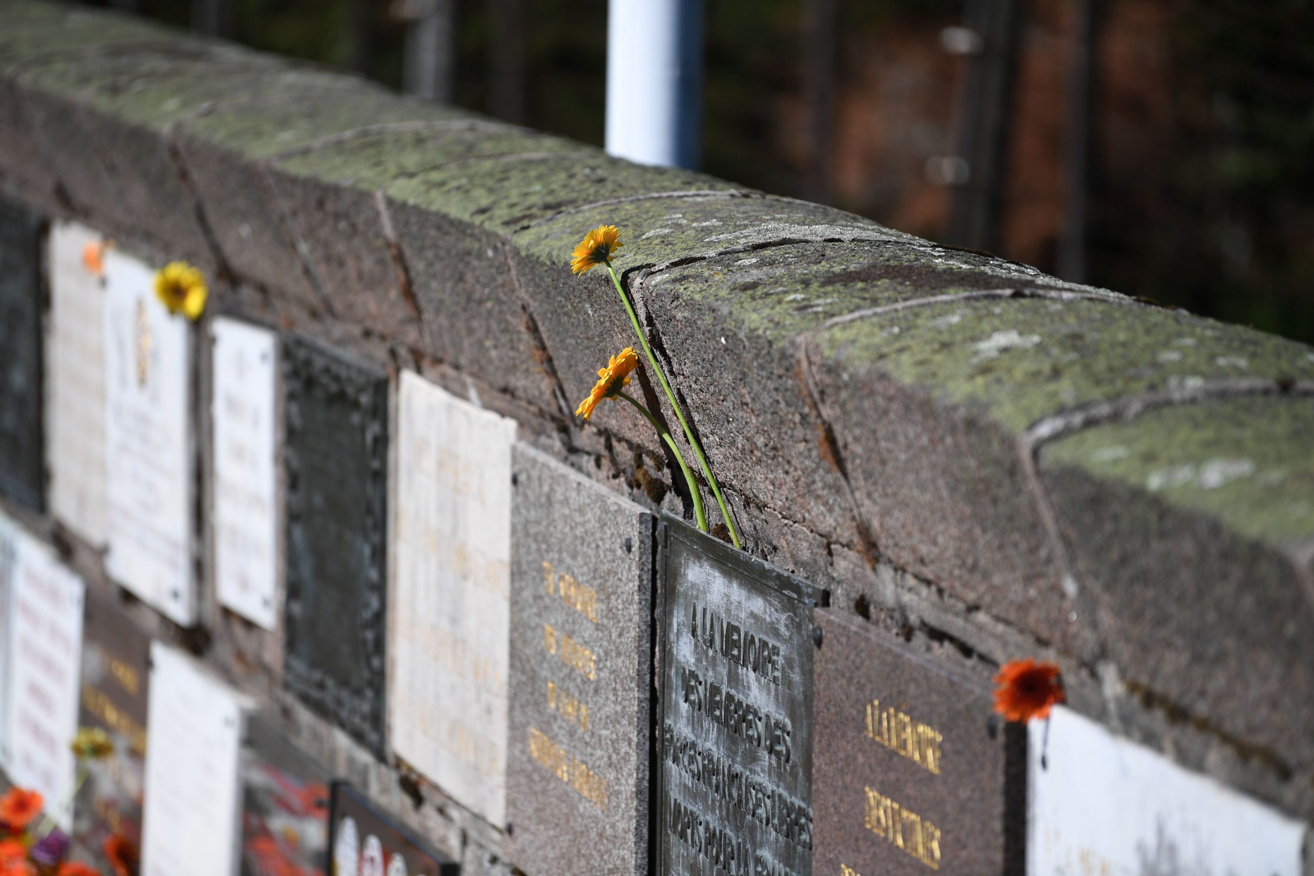 Mur du souvenir c JS Arnold
