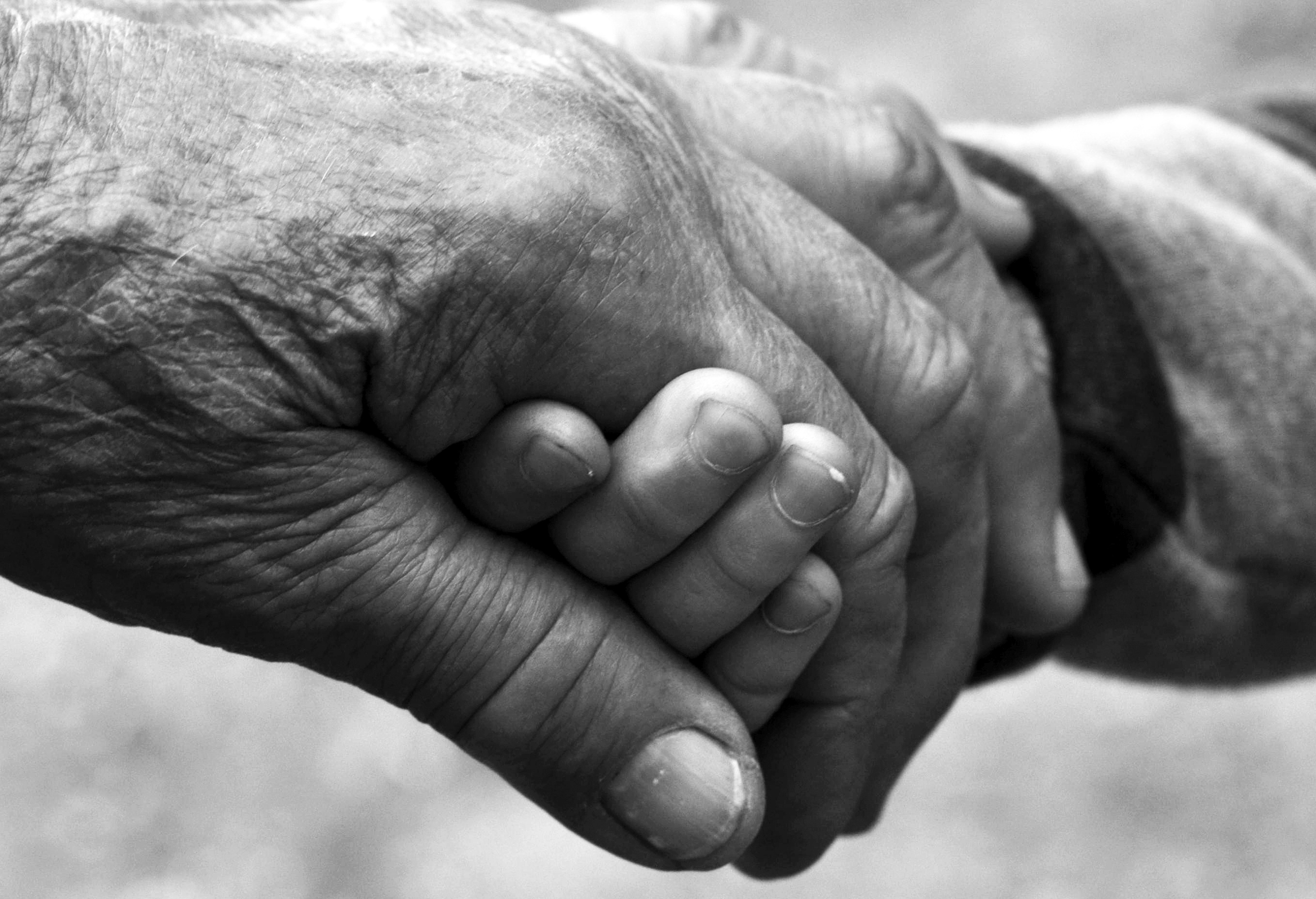 Conjoint ou partenaire survivant